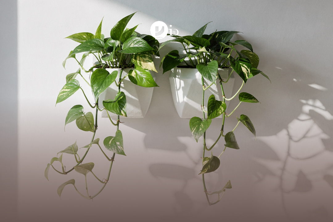 Tailoring Minimalism to Your Specific Living Room