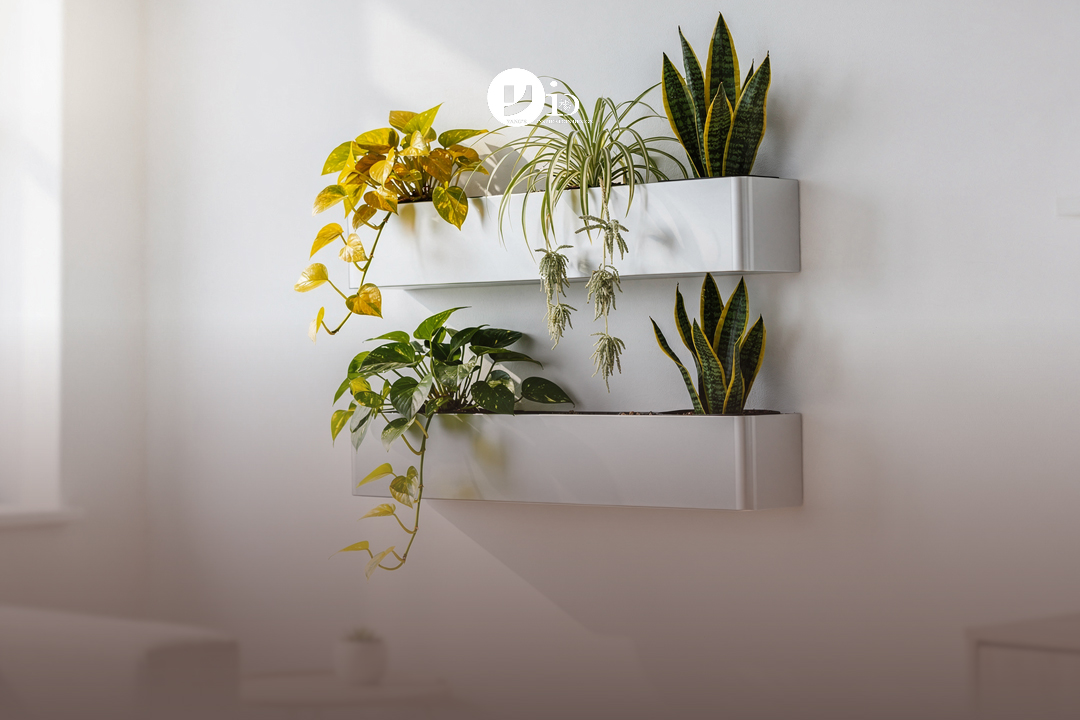 Your First Vertical Garden in 3 Simple Steps